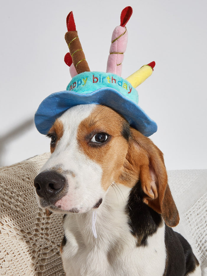 1pc Birthday Cake Shaped Pet Hat - SAFICCO
