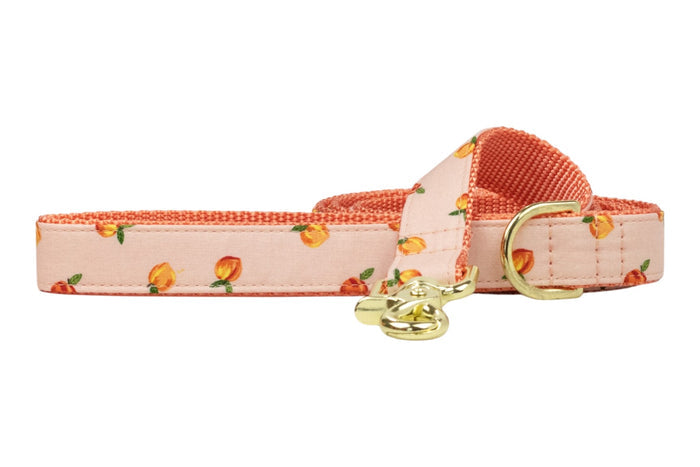 Carolina Peach Dog Leash - Crew LaLa