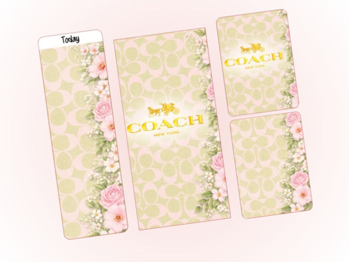 CO Pistachio | Dash Bundle | A6 Rings