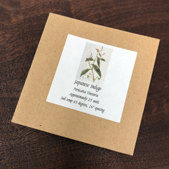 Maruba - 2026 stock Japanese Indigo - Seeds - Persicaria Tinctoria