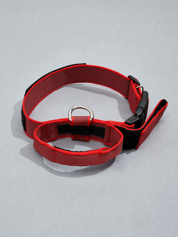 Letter Graphic Pet Collar - SAFICCO