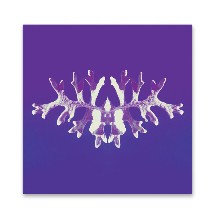 Symmetrical, branching inkblot on a purple background evokes the mysterious vibe of Secret Space, reminiscent of Rorschach test imagery.