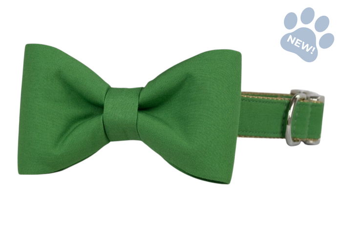 18th Green Bow Tie Dog Collar - Crew LaLa