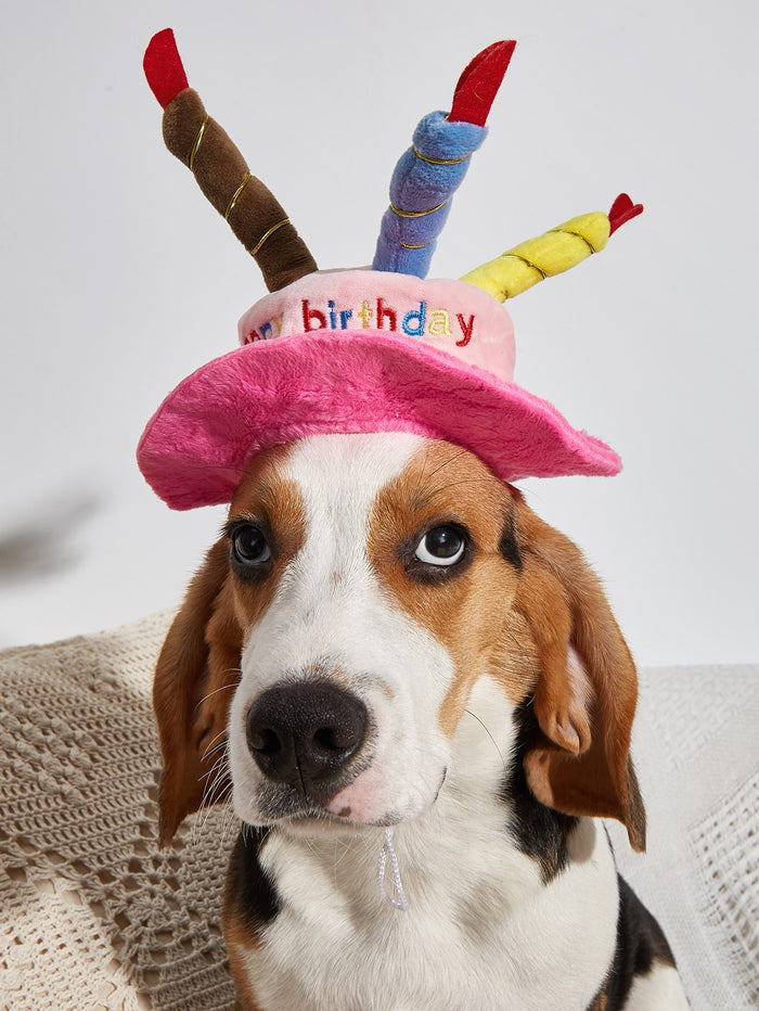 1pc Birthday Cake Shaped Pet Hat - SAFICCO