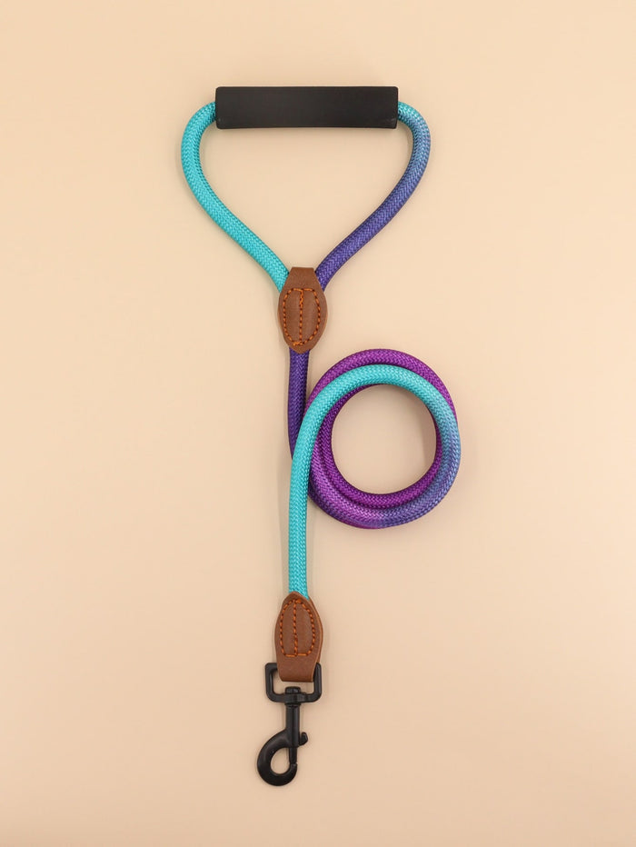 1pc Colorblock Pet Leash - SAFICCO