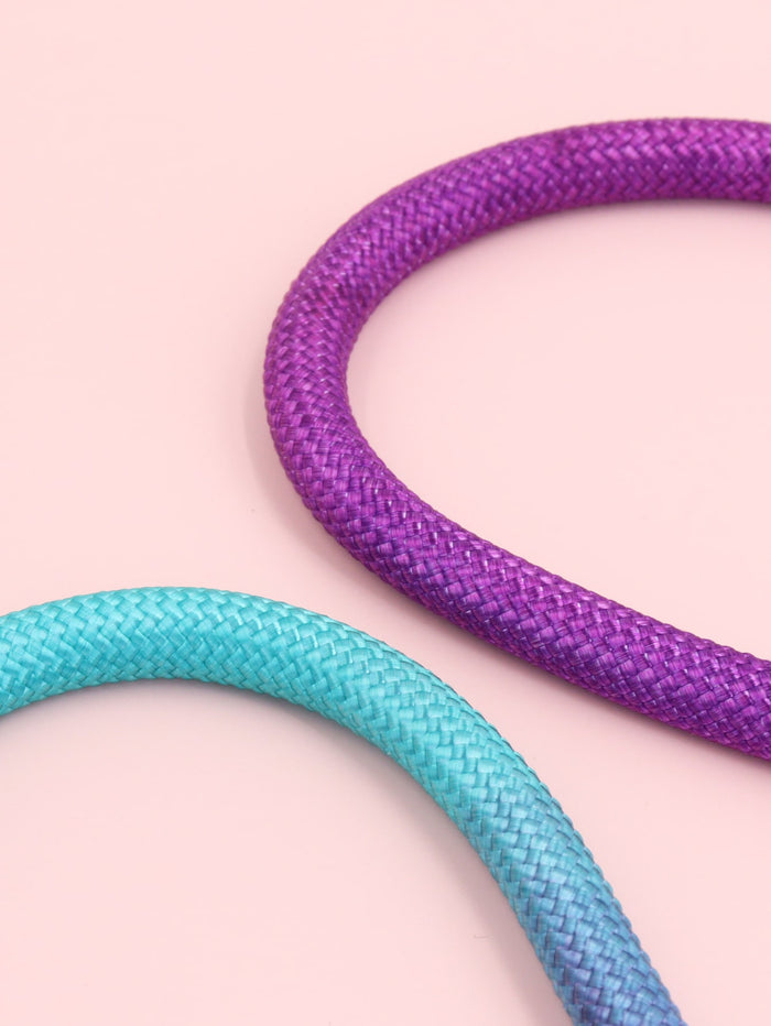 1pc Colorblock Pet Leash - SAFICCO