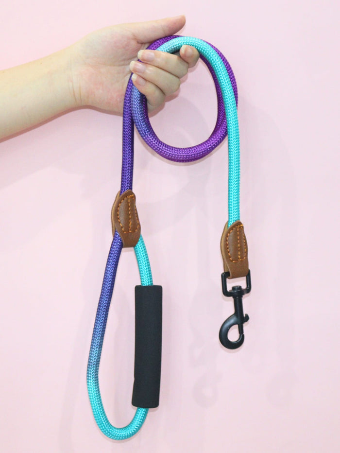 1pc Colorblock Pet Leash - SAFICCO