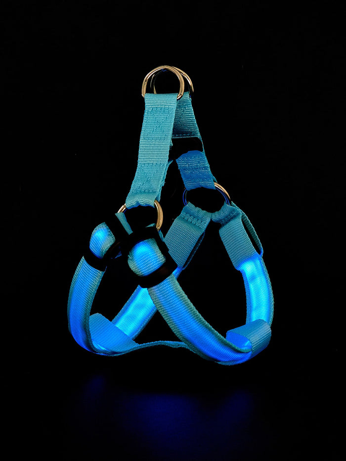 1pc Glowing Pet Harness - SAFICCO