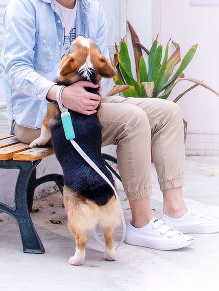 1pc Paw Print Pet Leash - SAFICCO