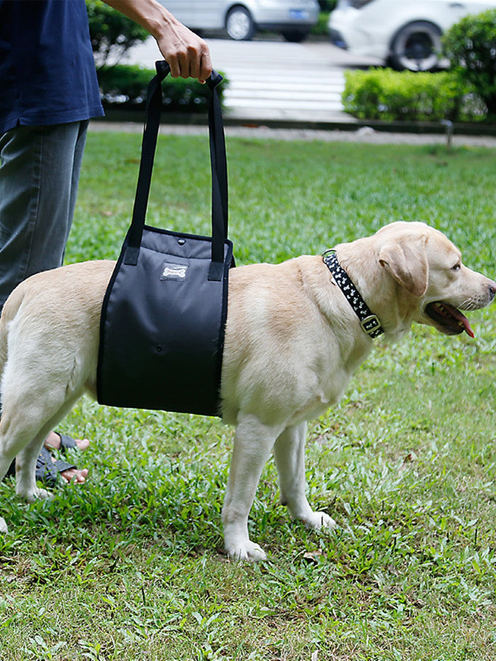 1pc Pet Auxiliary Walking Safety Belt - SAFICCO