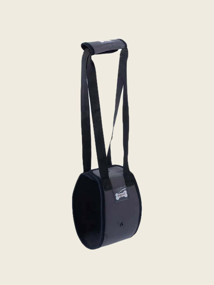 1pc Pet Auxiliary Walking Safety Belt - SAFICCO