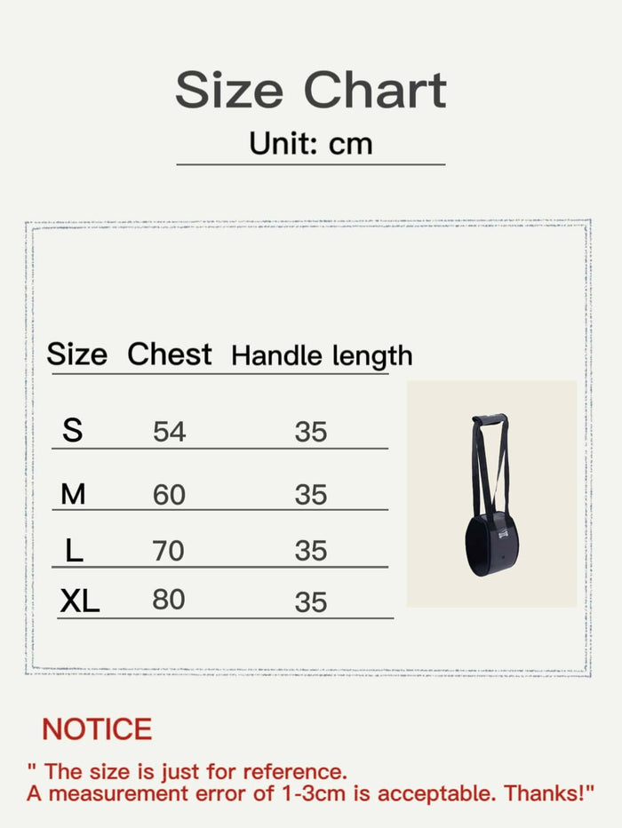 1pc Pet Auxiliary Walking Safety Belt - SAFICCO