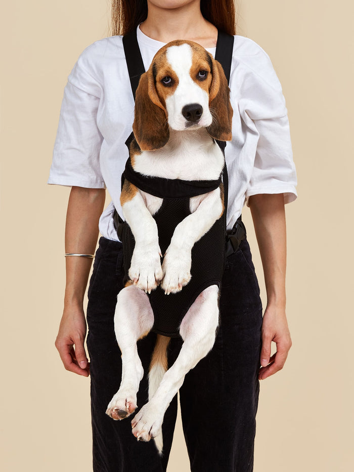 1pc Plain Pet Carrier - SAFICCO