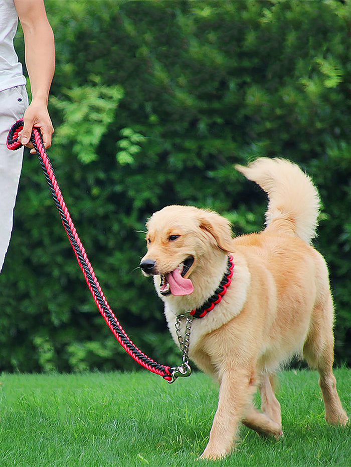 1pc Random Color Pet Collar 1pc Leash - SAFICCO