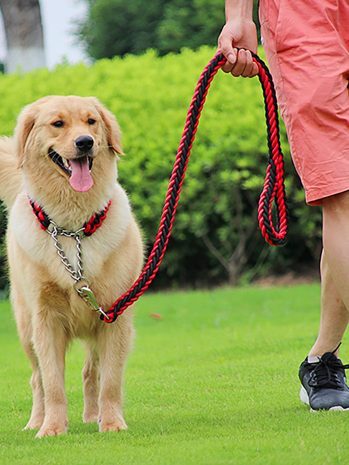 1pc Random Color Pet Collar 1pc Leash - SAFICCO