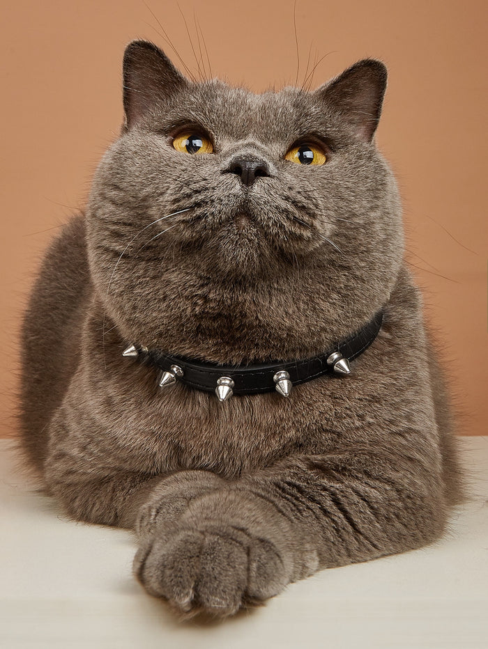 1pc Stud Decor Pet Collar - SAFICCO