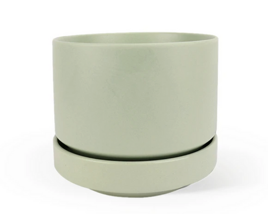 6" Round Two Planter - Limited Edition