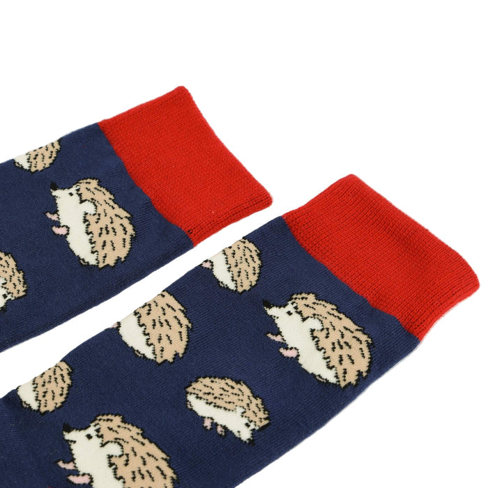 Pair of socks with hedgehog pattern and red cuffs on a white background