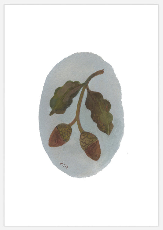 Acorn Print