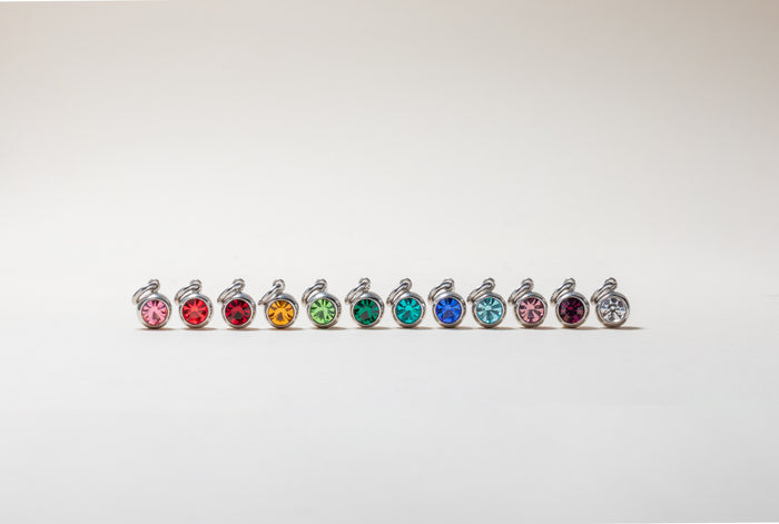 April Birthstone Interchangeable Charm