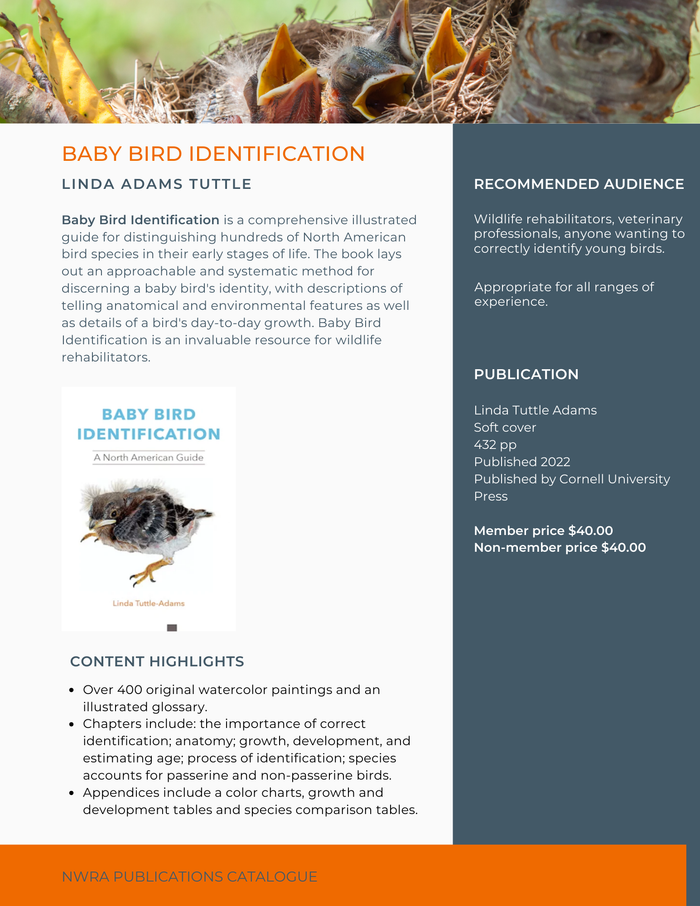 Baby Bird Identification: A North American Guide