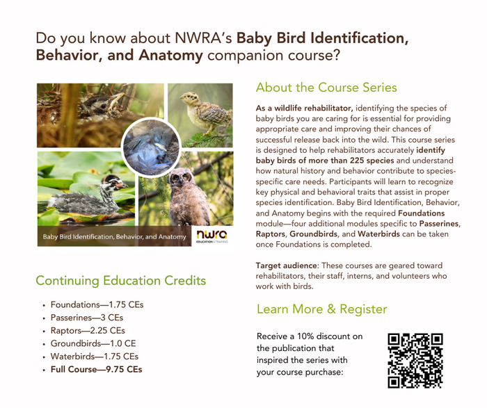 Baby Bird Identification: A North American Guide