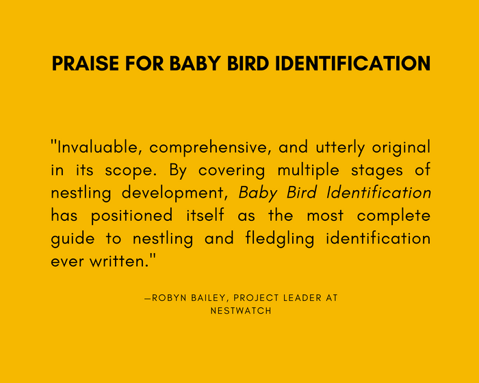 Baby Bird Identification: A North American Guide