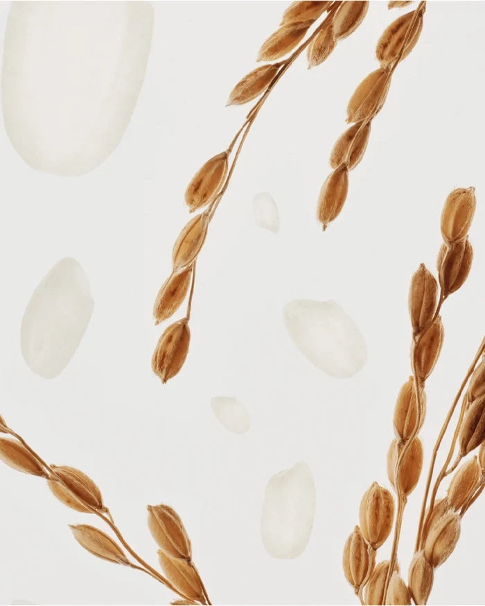 Beauty of Joseon Glow Deep Serum Rice + Alpha Arbutin