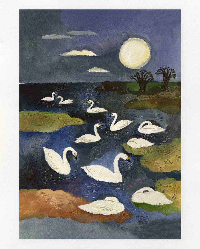 Bewick Swans print