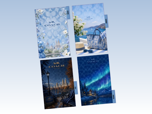Blue Coach | Seasons | Planner Dashboards | A5 Rings | Set of 4