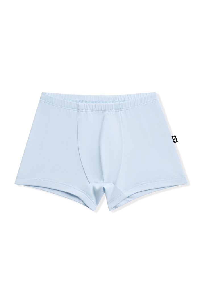 product photo of the Briefs in Breeze