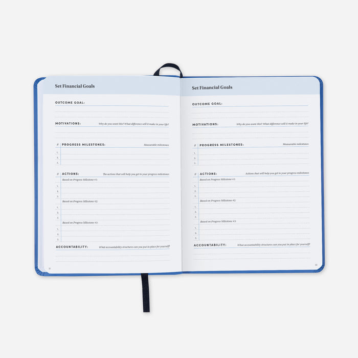 BestSelf Budget Journal pages showing savings goals and monthly overview