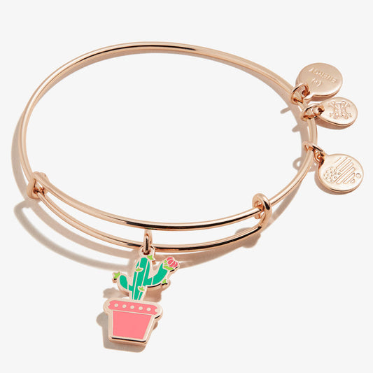Shiny Rose Gold