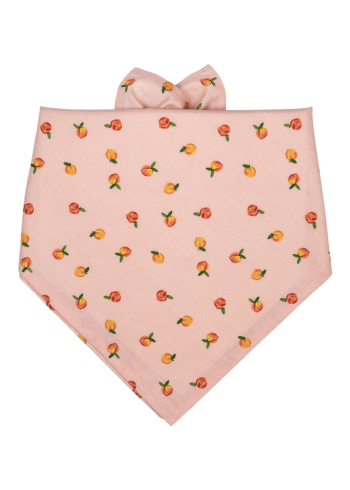 Carolina Peach Dog Bandana - Crew LaLa