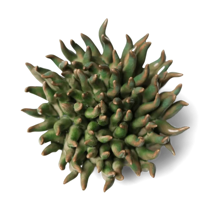 Ceramic Flower Wall Art Mondo Green