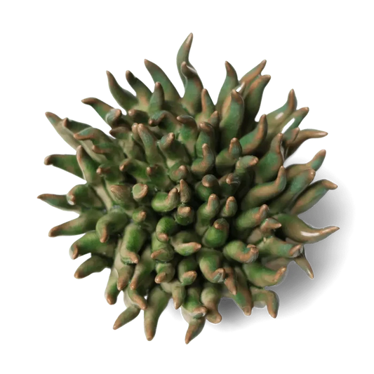 Ceramic Flower Wall Art Mondo Green
