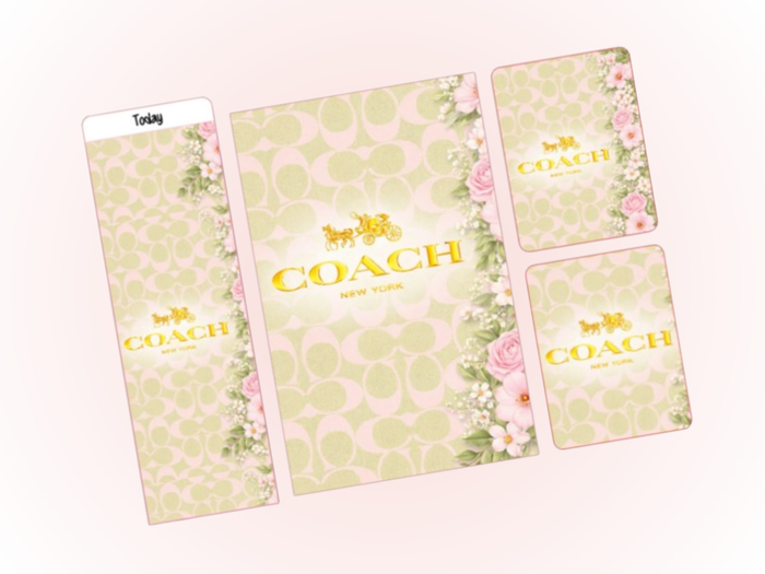 CO Pistachio | Dash Bundle | A5 Rings
