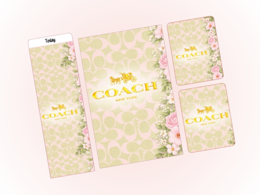 CO Pistachio | Dash Bundle | A5 Rings