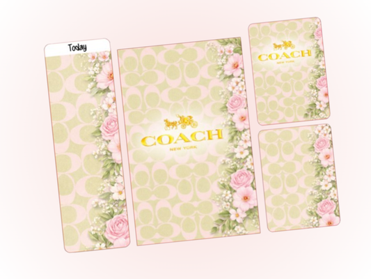 CO Pistachio | Dash Bundle | Personal Wide