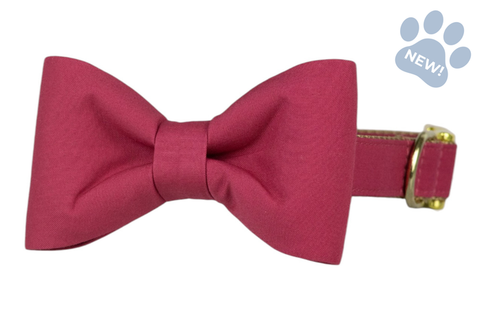 Deep Rose Bow Tie Dog Collar - Crew LaLa