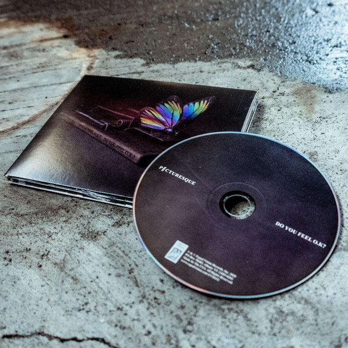 Black square CD with a mouse trap drawn in the middle. On top of the mouse trap is a rainbow colored butterfly. To the right of the cover is a black disc with PICTURESQUE written on the left, and DO YOU FEEL O.K.? written on the right. Both are laying on top of a granite surface.