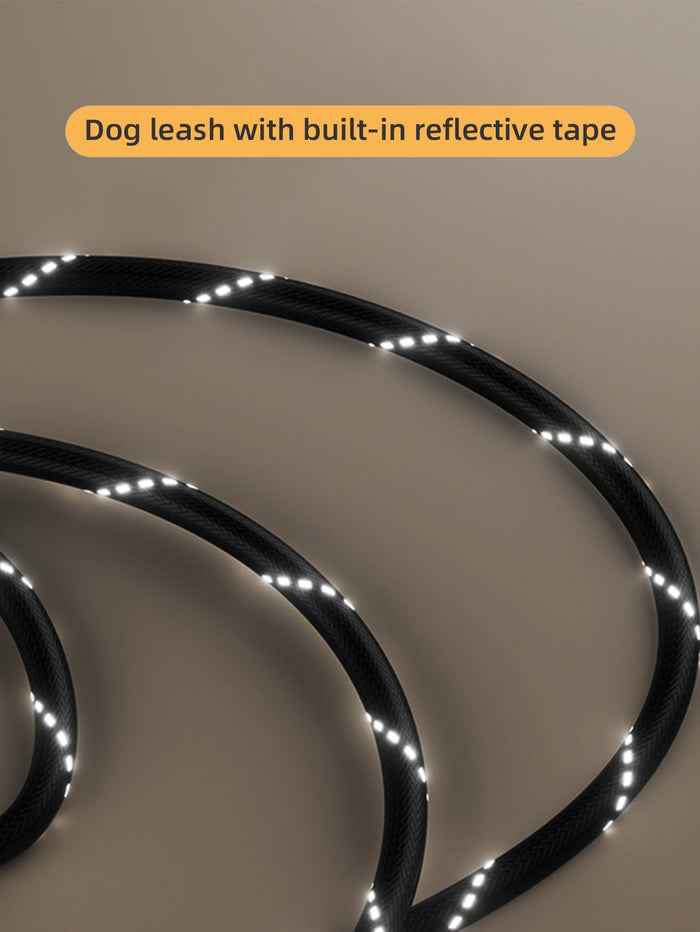 dog leash with flashlight and dog waste bag dispenser - SAFICCO