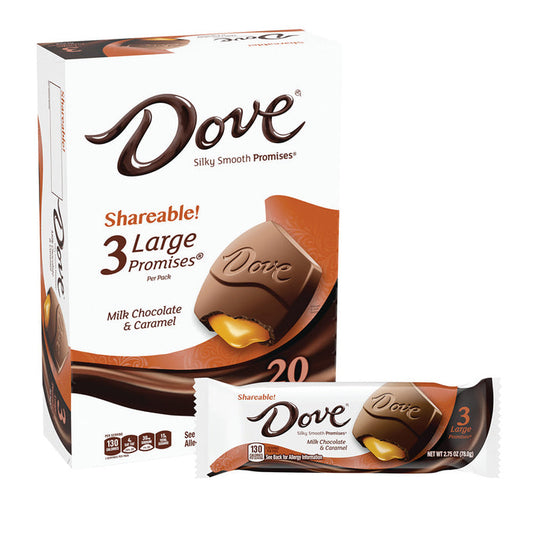 Dove Milk Chocolate Caramel Promises Candy - 20 Count