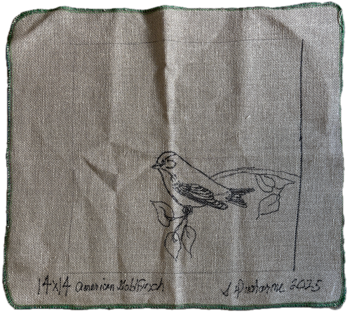 Ducharme - American Goldfinch 14X14
