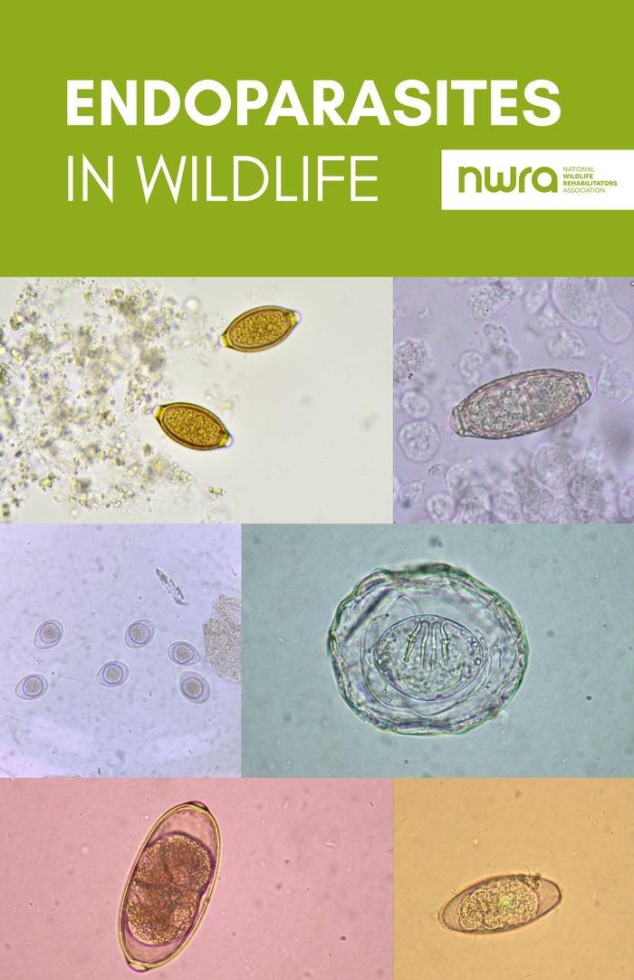 Endoparasites in Wildlife Chart