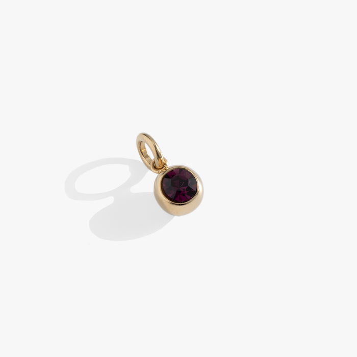 February Birthstone Interchangeable Charm