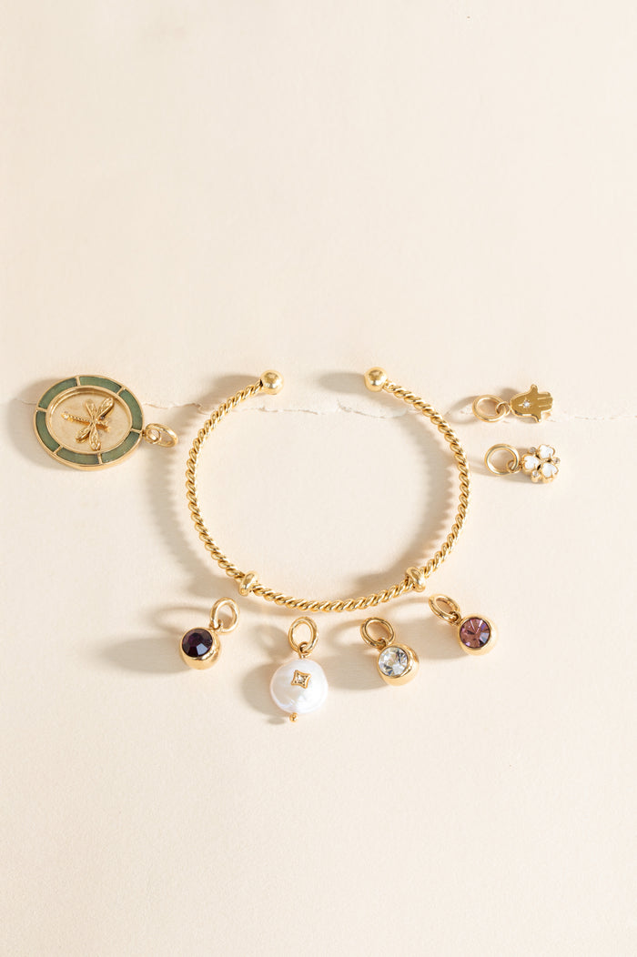 February Birthstone Interchangeable Charm