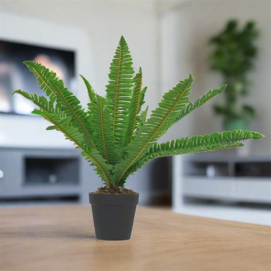 Green Leaf Fern 50cm Artificial Plant by Criterion -Home Living Store - -