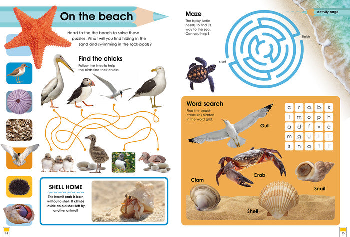 Habitats and the Animals Who Live in Them