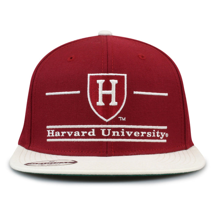 Harvard '93 Til Snapback